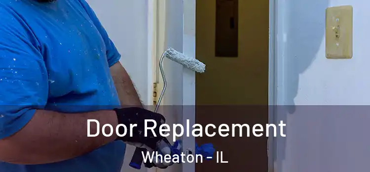 Door Replacement Wheaton - IL