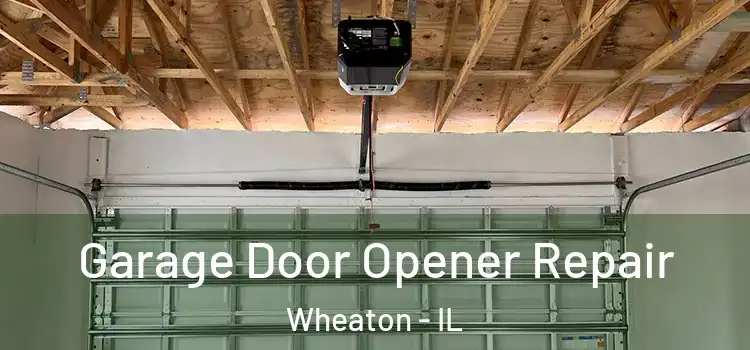  Garage Door Opener Repair Wheaton - IL