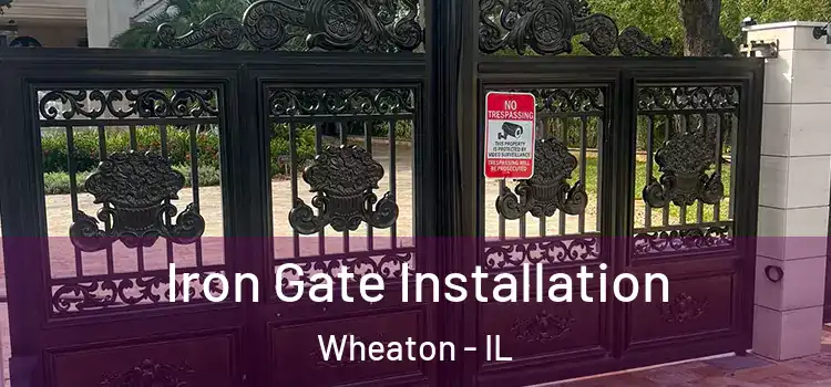 Iron Gate Installation Wheaton - IL