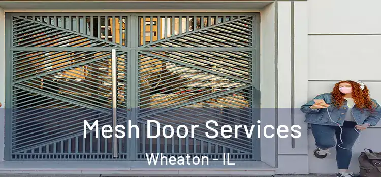 Mesh Door Services Wheaton - IL