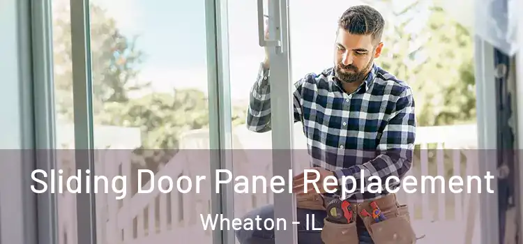  Sliding Door Panel Replacement Wheaton - IL